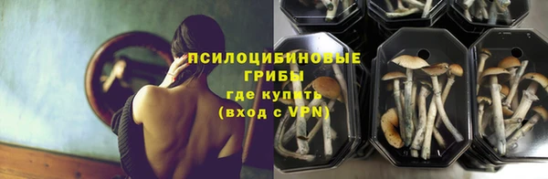 стафф Балахна